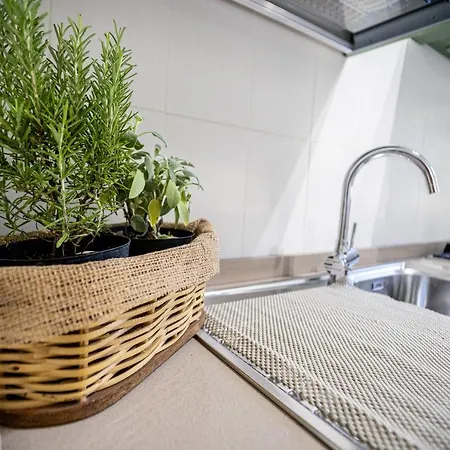 L' Antica Oliviera D'orcia *