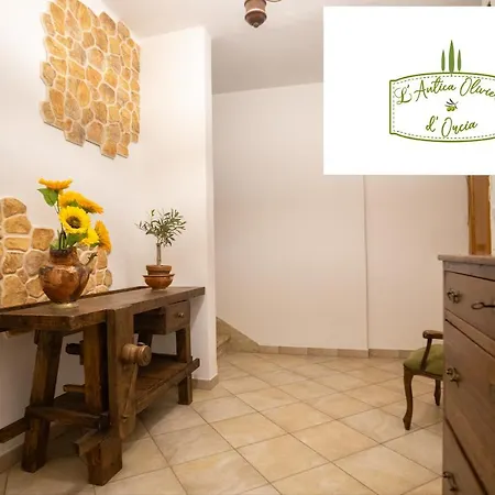 L' Antica Oliviera D'orcia