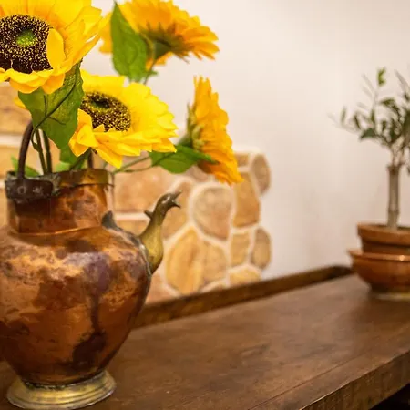 L' Antica Oliviera D'orcia * San Quirico dʼOrcia